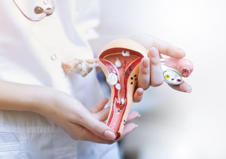 Best Gynecologist in Nikol