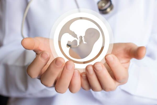 Gynaecologists and Obstetricians