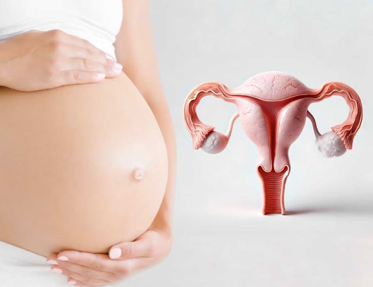 Understanding & Managing Ovarian Cysts During Pregnancy