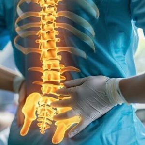 Spine
